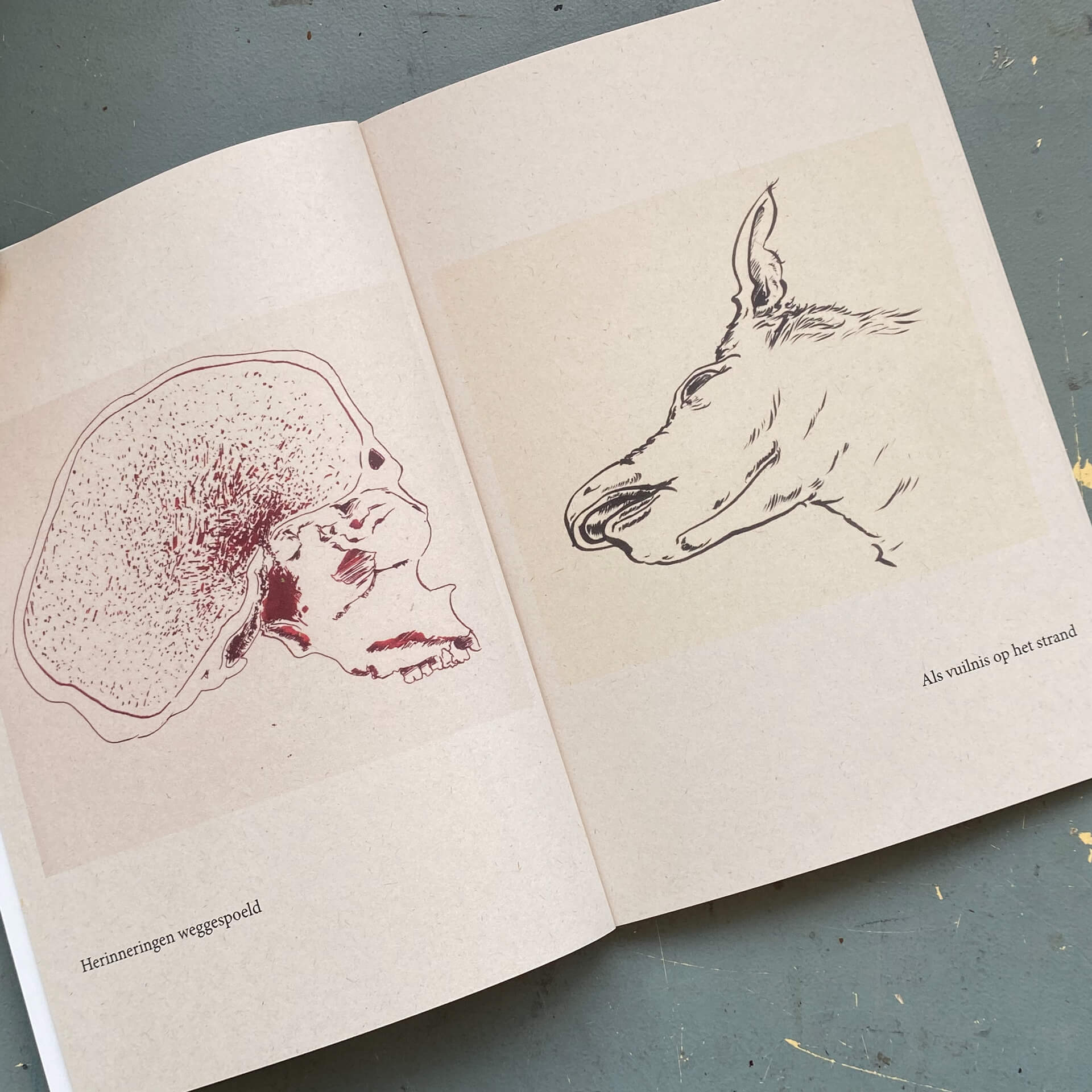 Donorbrain Zine - Weekendgesprekken spread